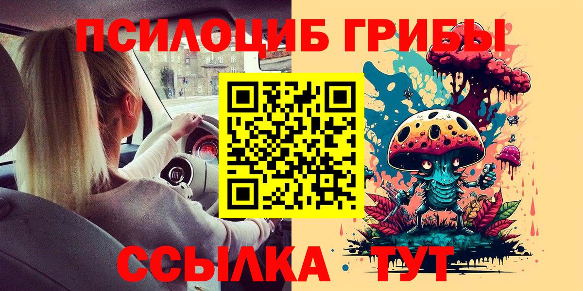 Галлюциногенные грибы прущие грибы  Вход с VPN  Аргун 