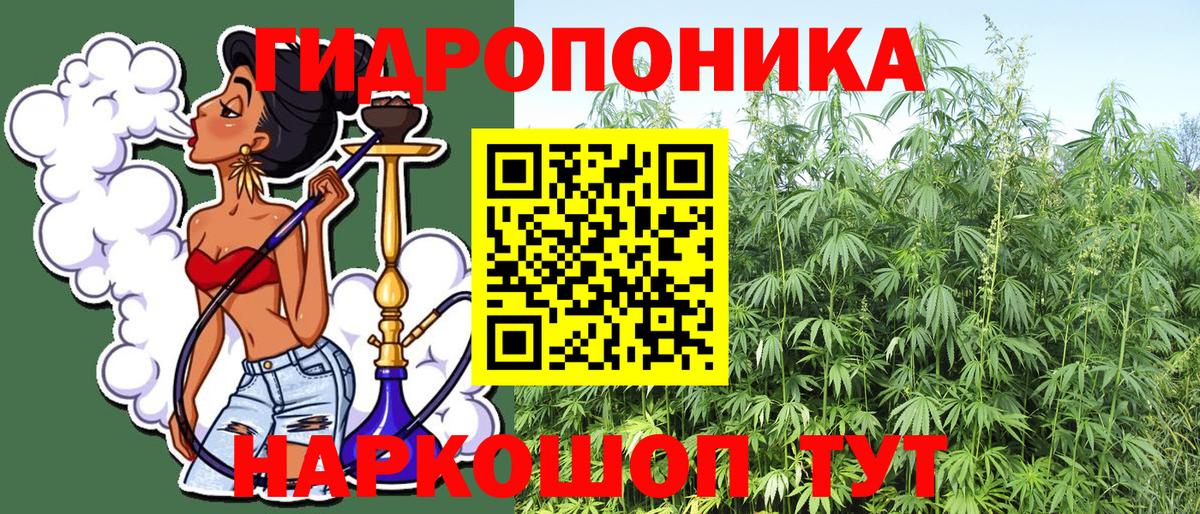 Бошки марихуана гибрид  Вход с VPN  Бошки марихуана гибрид  Аргун 